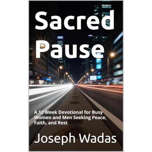 Cover of Sacred Pause