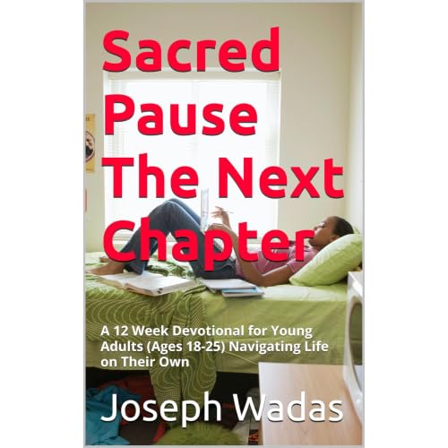 Cover of Sacred Pause The Next Chapter