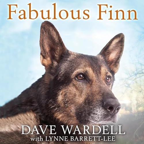 Cover of Fabulous Finn