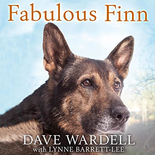 Cover of Fabulous Finn