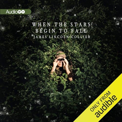 Cover of When the Stars Begin to Fall