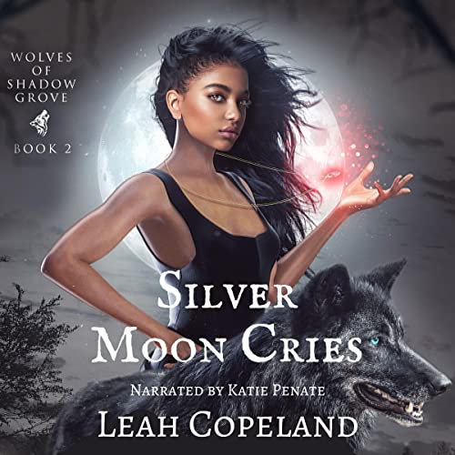 Cover of Silver Moon Cries