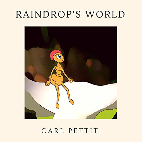 Cover of Raindrop's World