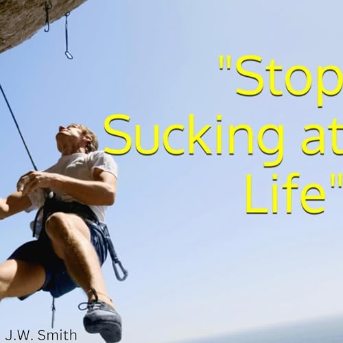 Cover of "Stop Sucking at Life"