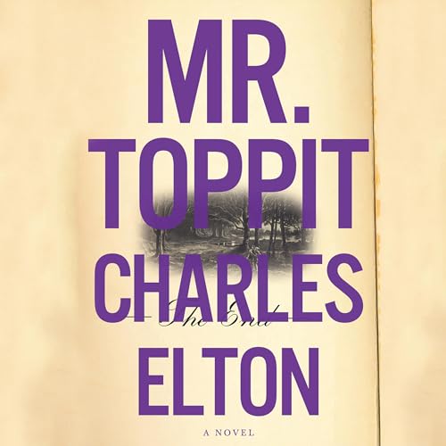 Cover of Mr. Toppit