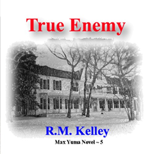 Cover of True Enemy