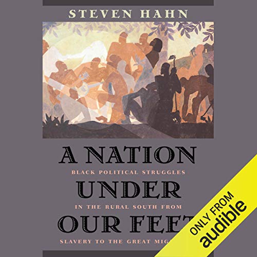 Cover of A Nation Under Our Feet