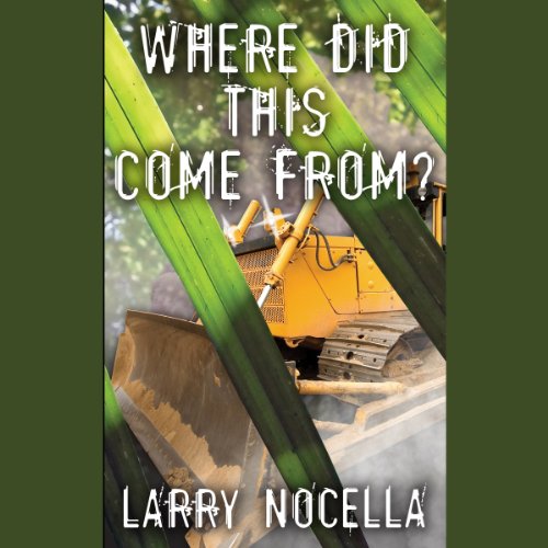 Cover of Where Did This Come From?