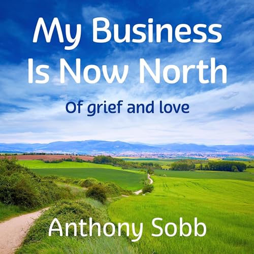 Cover of My Business Is Now North