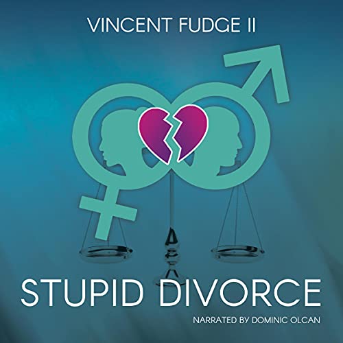 Cover of Stupid Divorce