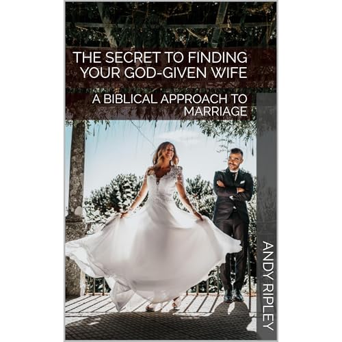 Cover of THE SECRET TO FINDING YOUR GOD-GIVEN WIFE