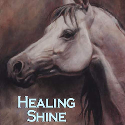 Cover of Healing Shine: A Spiritual Assignment
