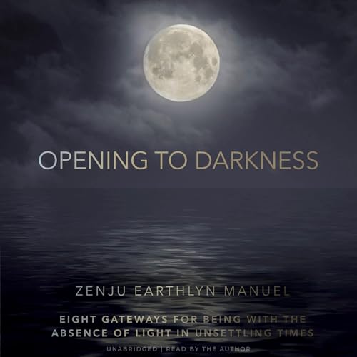 Cover of Opening to Darkness