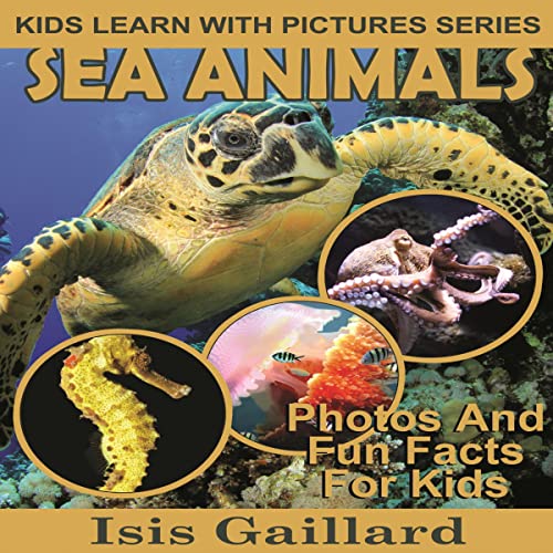 Cover of Sea Animals: Fun Facts for Kids