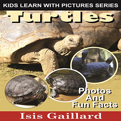 Cover of Turtles: Photos and Fun Facts for Kids