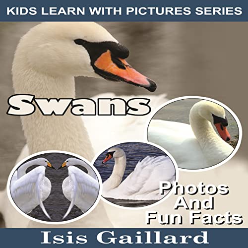 Cover of Swans: Photos and Fun Facts for Kids