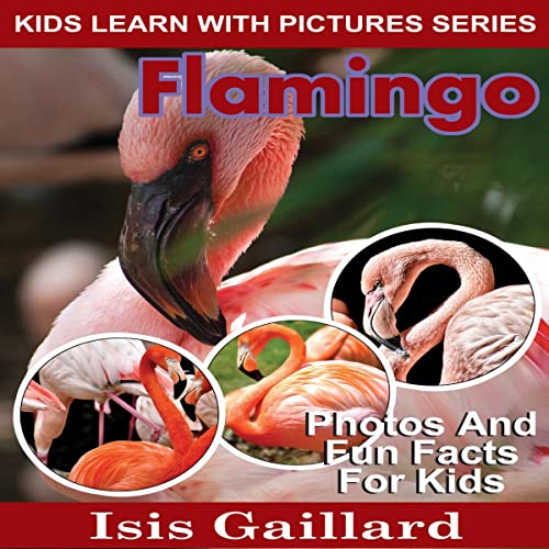 Cover of Flamingo: Photos and Fun Facts for Kids