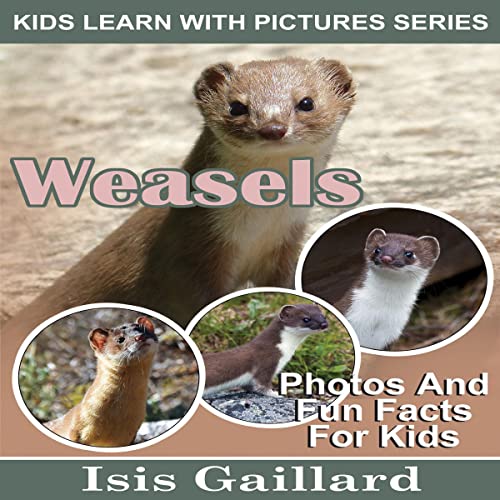 Cover of Weasels: Photos and Fun Facts for Kids