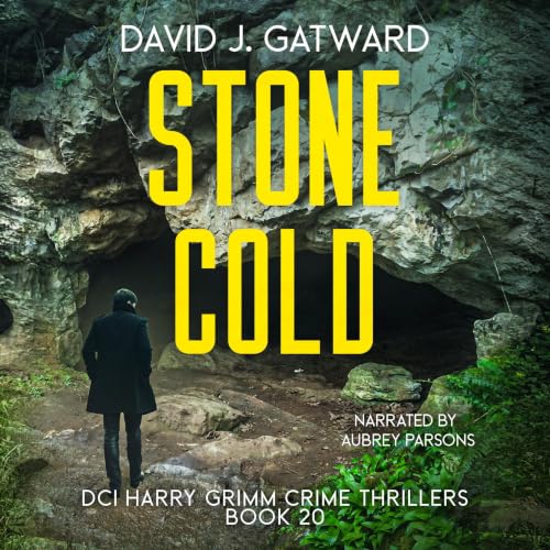 Cover of Stone Cold