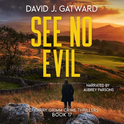 Cover of See No Evil