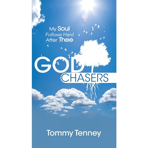 Cover of The God Chasers