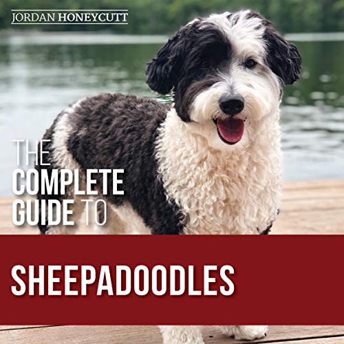 Cover of The Complete Guide to Sheepadoodles