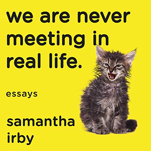 Cover of We Are Never Meeting in Real Life