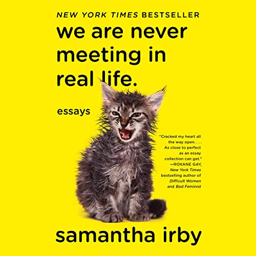 Cover of We Are Never Meeting in Real Life