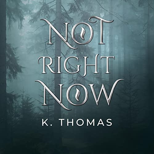 Cover of Not Right Now