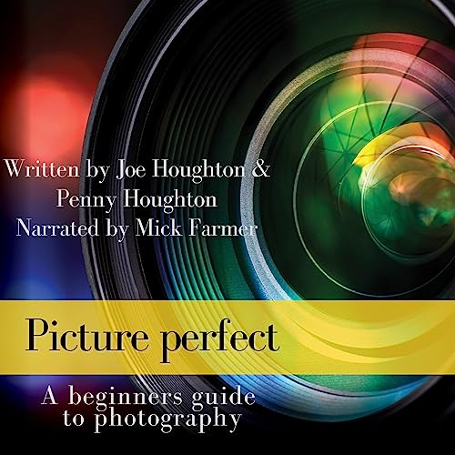 Cover of Picture Perfect