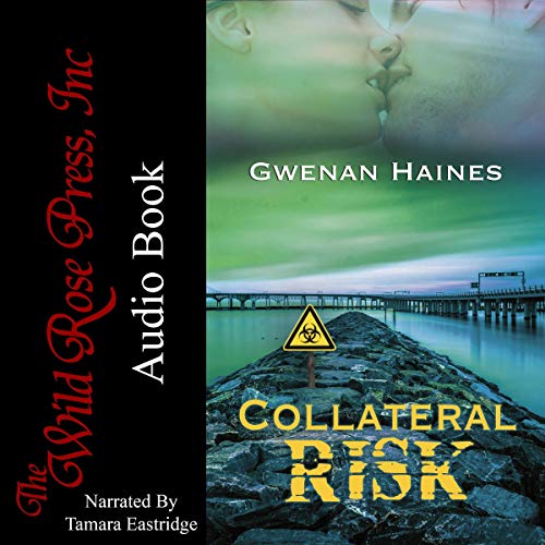 Cover of Collateral Risk