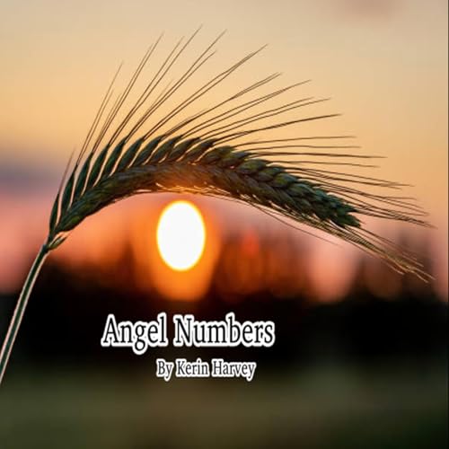 Cover of Angel Numbers