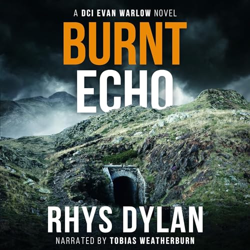 Cover of Burnt Echo