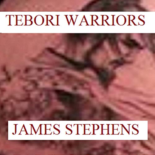 Cover of Tebori Warriors
