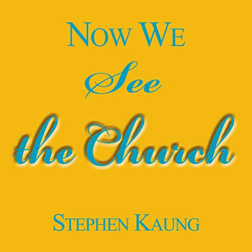 Cover of Now We See the Church