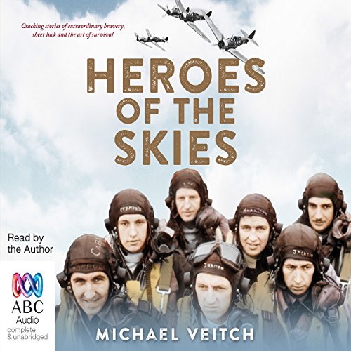 Cover of Heroes of the Skies