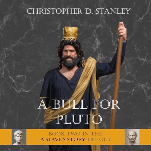 Cover of A Bull for Pluto