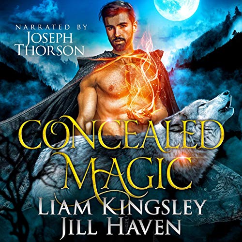 Cover of Concealed Magic