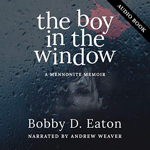 Cover of The Boy in the Window