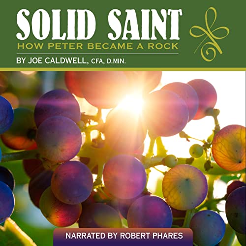 Cover of Solid Saint