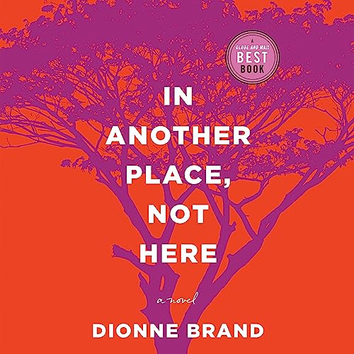 Cover of In Another Place, Not Here