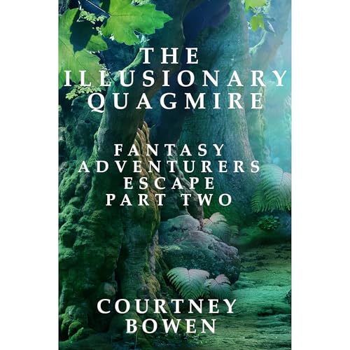 Cover of The Illusionary Quagmire