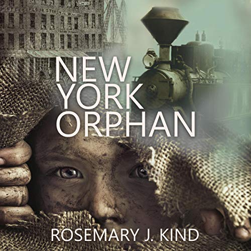 Cover of New York Orphan
