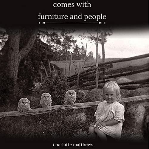 Cover of Comes with Furniture and People