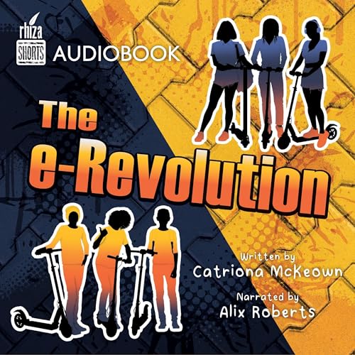 Cover of The e-Revolution