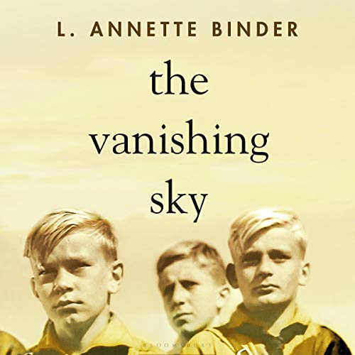 Cover of The Vanishing Sky