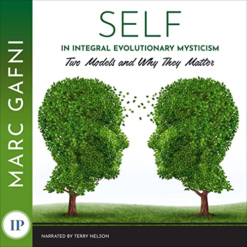 Cover of Self in Integral Evolutionary Mysticism