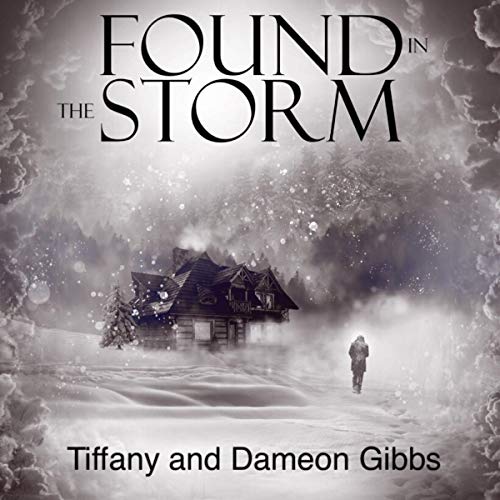 Cover of Found in the Storm