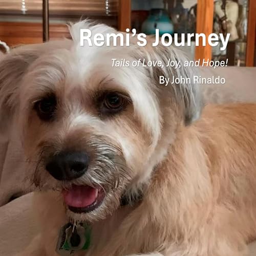 Cover of Remi's Journey