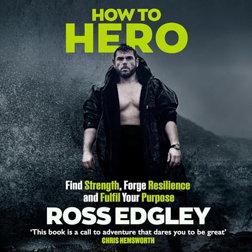 Cover of How to Hero